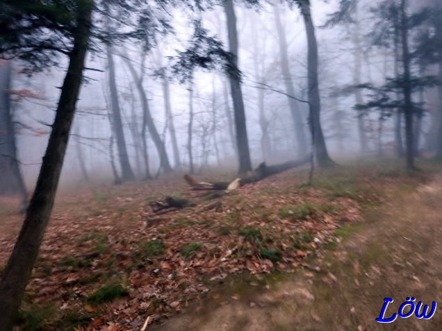 12.11.2025 - Der Nebel kommt